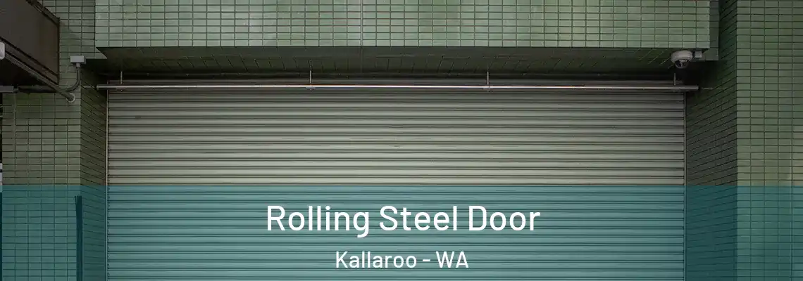 Rolling Steel Door Kallaroo - WA