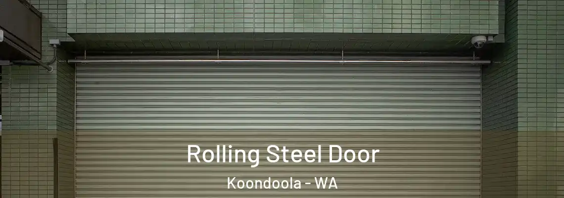  Rolling Steel Door Koondoola - WA