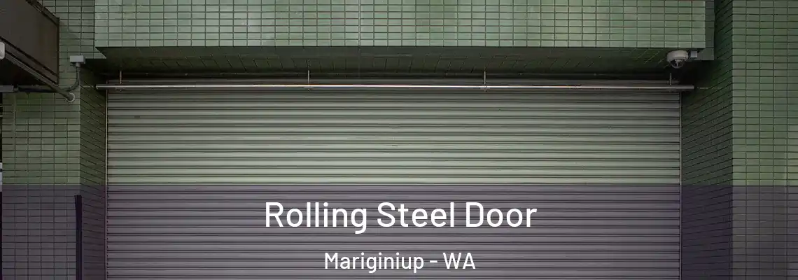  Rolling Steel Door Mariginiup - WA