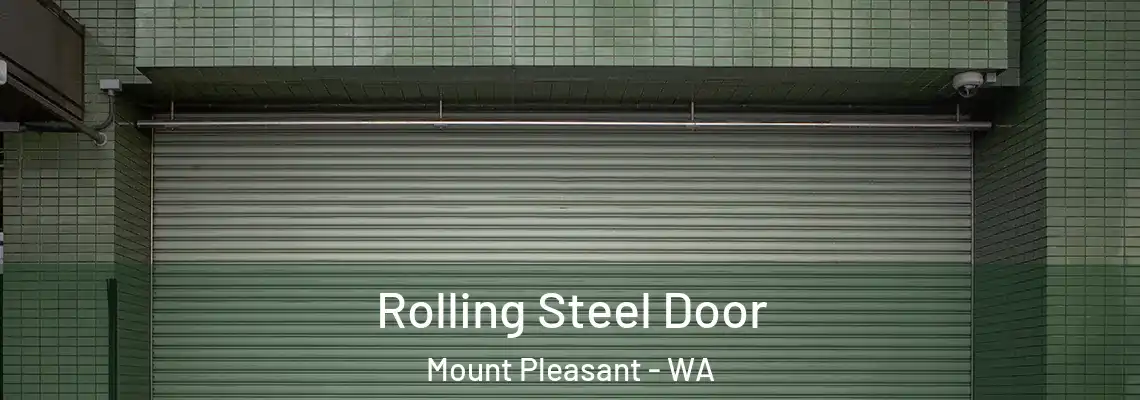  Rolling Steel Door Mount Pleasant - WA