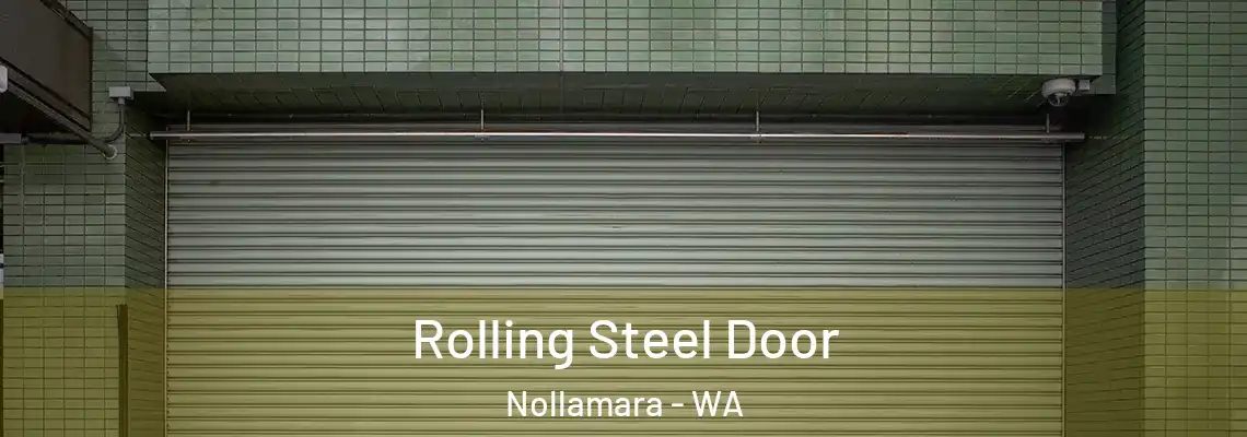  Rolling Steel Door Nollamara - WA