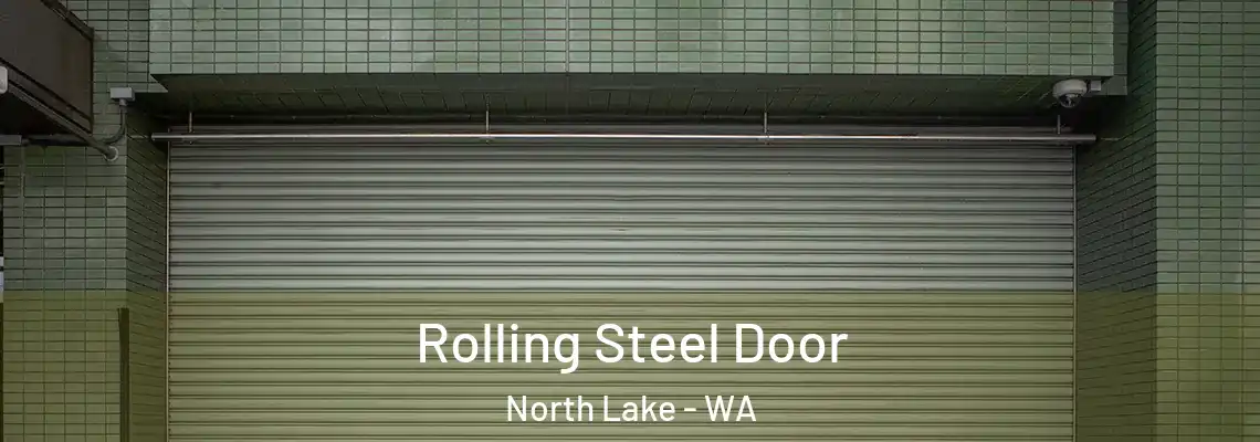  Rolling Steel Door North Lake - WA