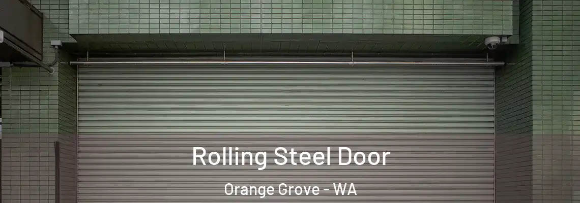  Rolling Steel Door Orange Grove - WA