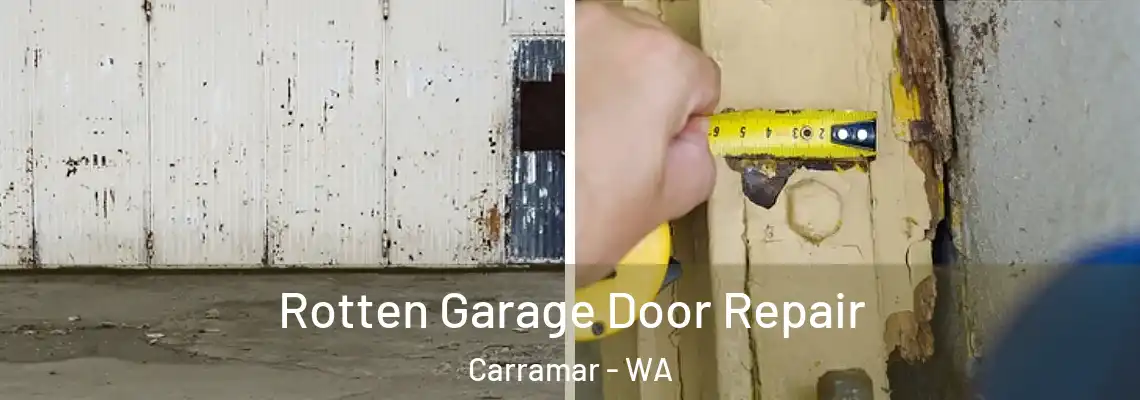  Rotten Garage Door Repair Carramar - WA