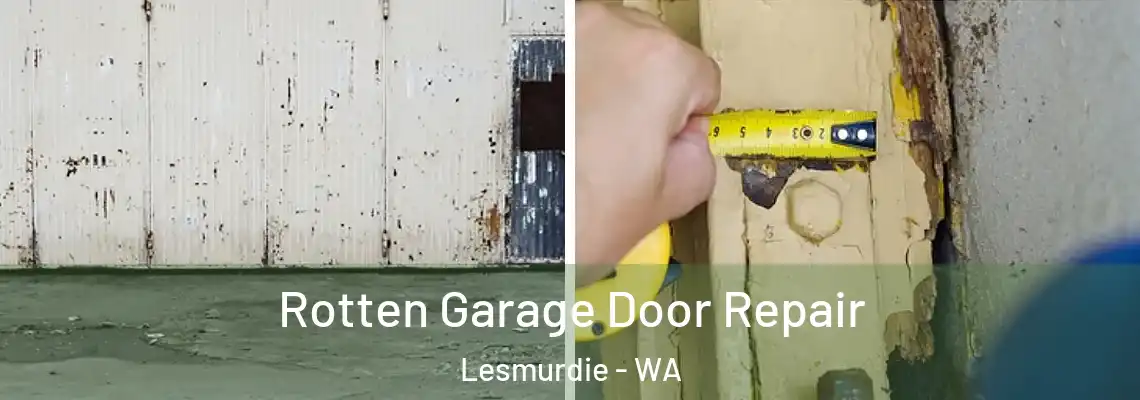 Rotten Garage Door Repair Lesmurdie - WA