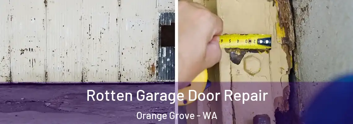  Rotten Garage Door Repair Orange Grove - WA