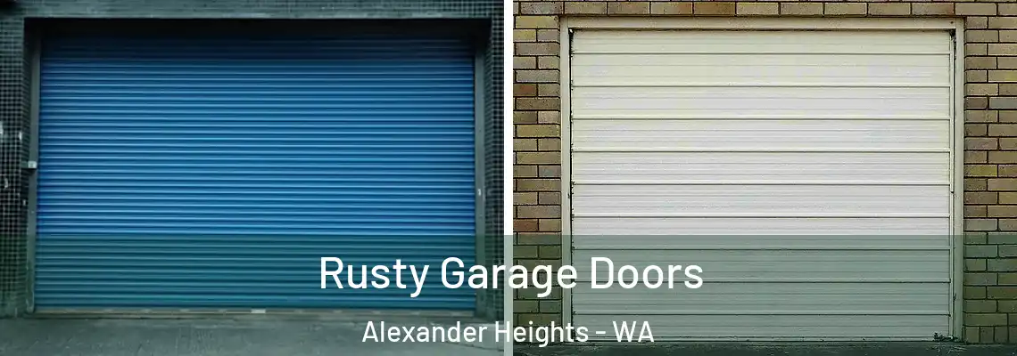  Rusty Garage Doors Alexander Heights - WA