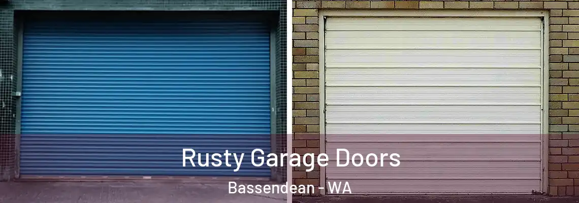  Rusty Garage Doors Bassendean - WA