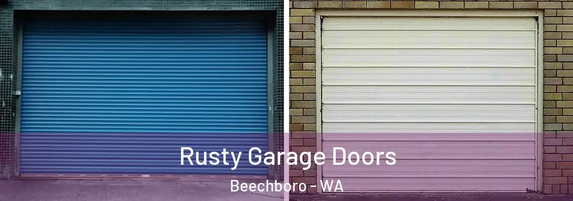  Rusty Garage Doors Beechboro - WA
