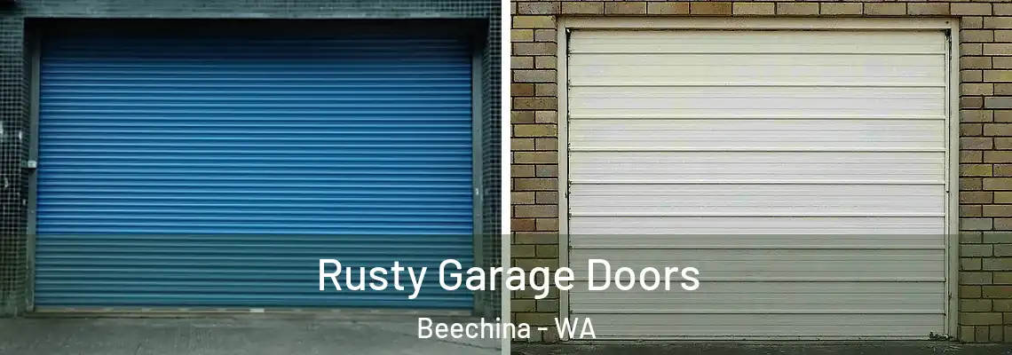  Rusty Garage Doors Beechina - WA