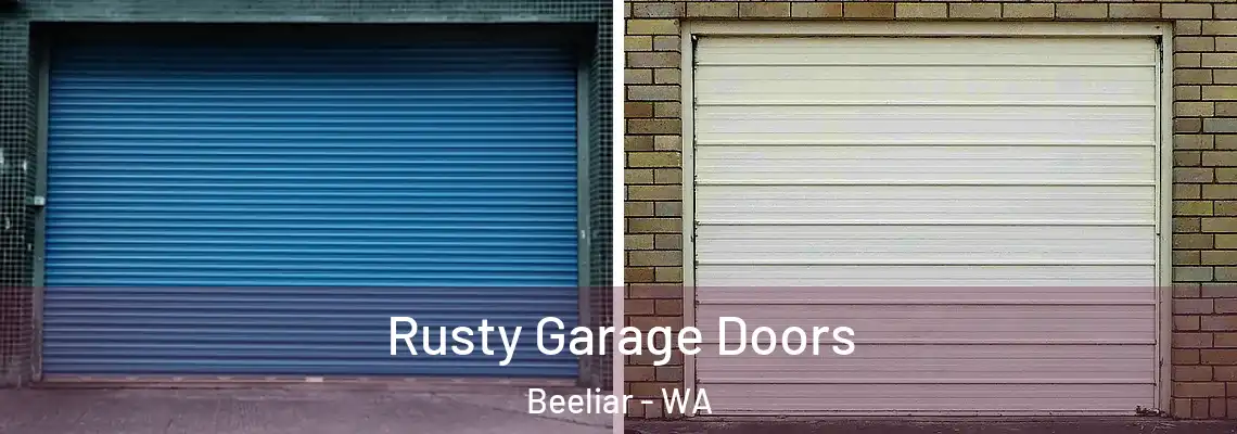 Rusty Garage Doors Beeliar - WA