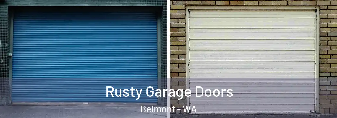  Rusty Garage Doors Belmont - WA