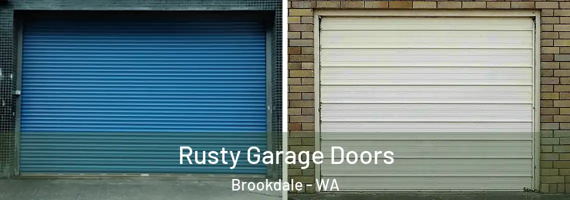  Rusty Garage Doors Brookdale - WA