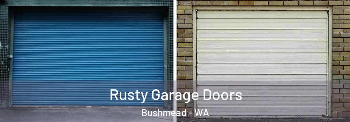  Rusty Garage Doors Bushmead - WA