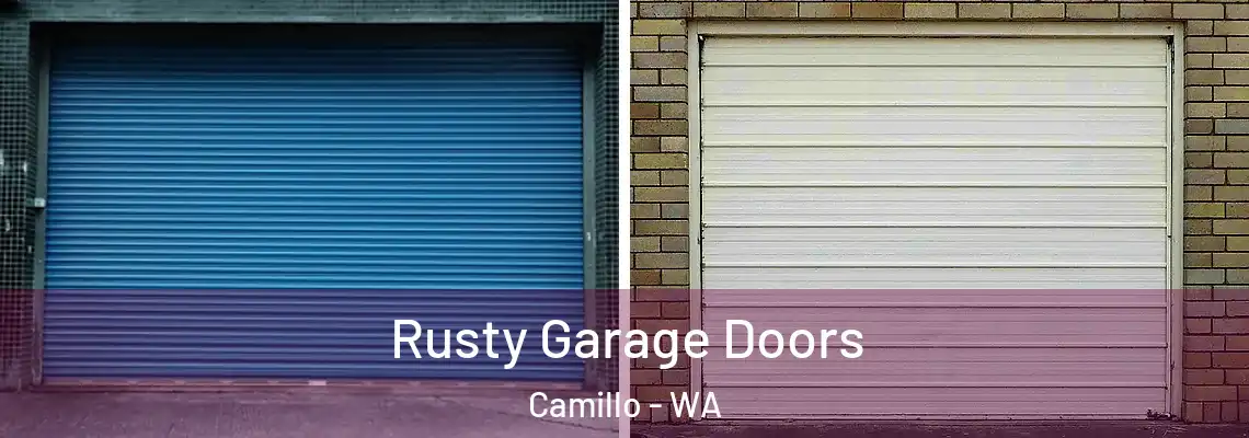  Rusty Garage Doors Camillo - WA