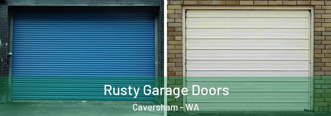  Rusty Garage Doors Caversham - WA