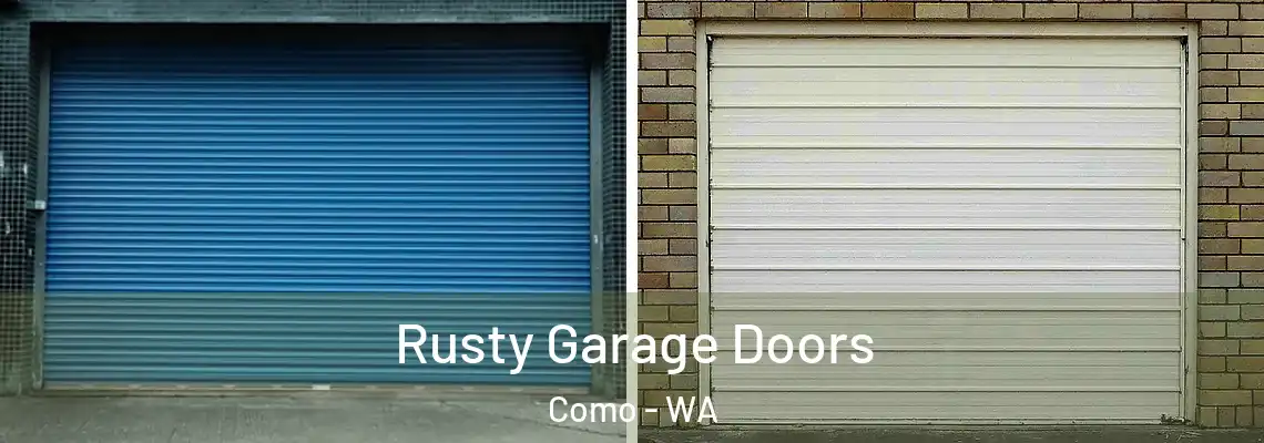  Rusty Garage Doors Como - WA