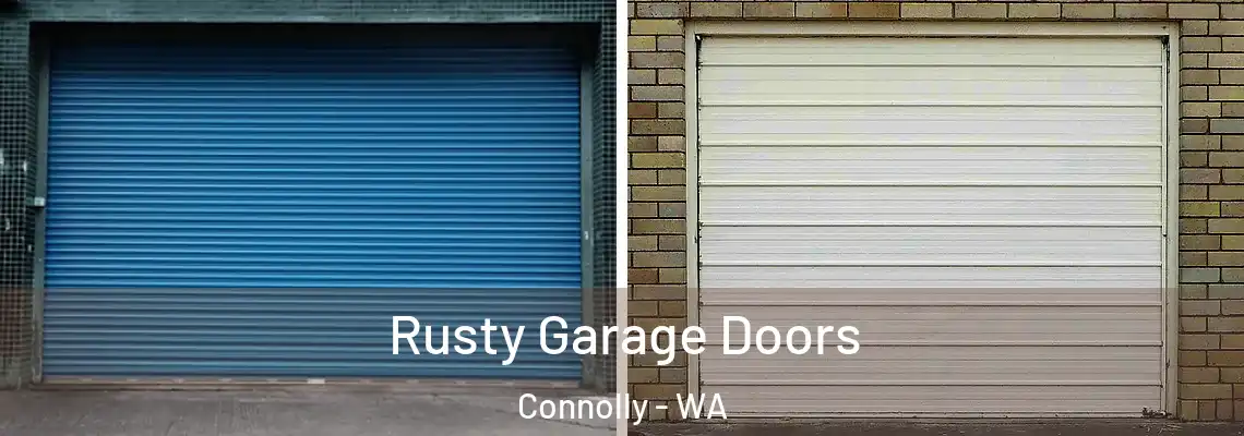  Rusty Garage Doors Connolly - WA