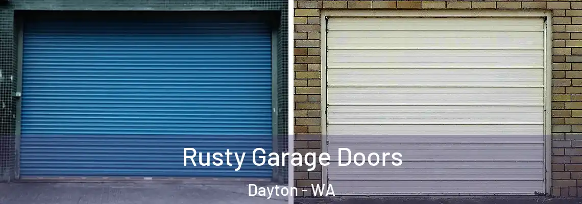  Rusty Garage Doors Dayton - WA