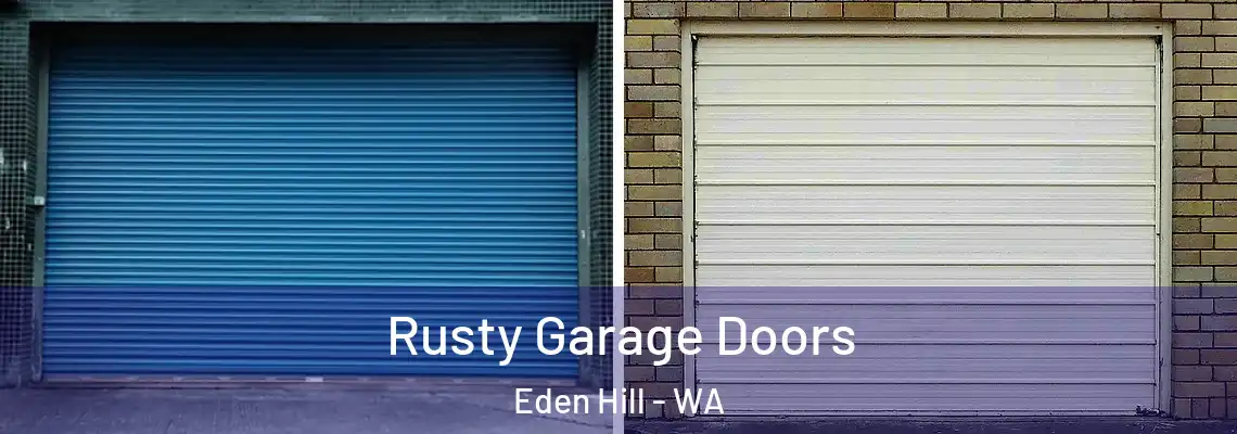  Rusty Garage Doors Eden Hill - WA