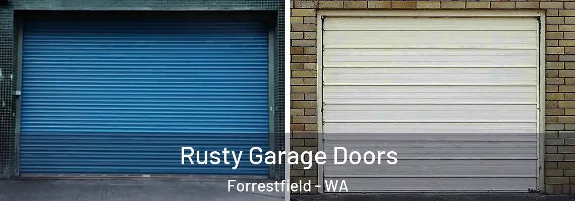  Rusty Garage Doors Forrestfield - WA