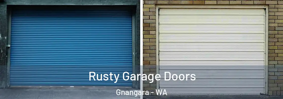  Rusty Garage Doors Gnangara - WA