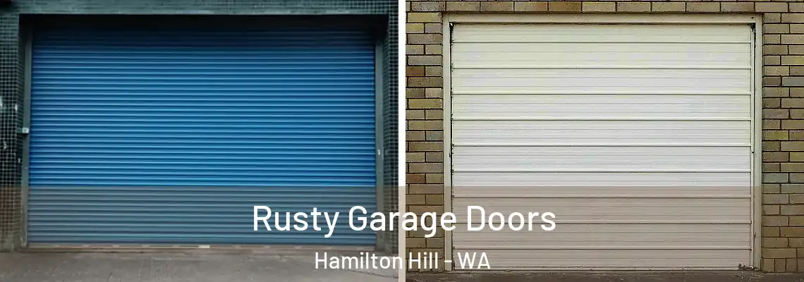  Rusty Garage Doors Hamilton Hill - WA