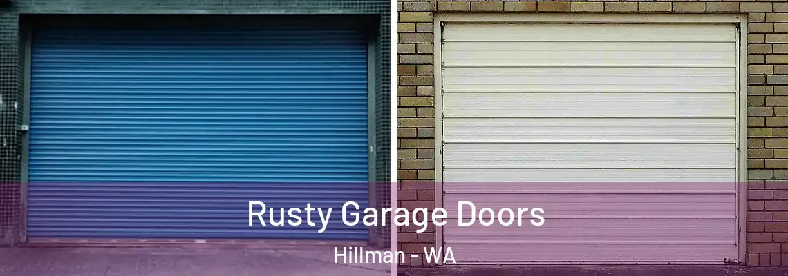  Rusty Garage Doors Hillman - WA