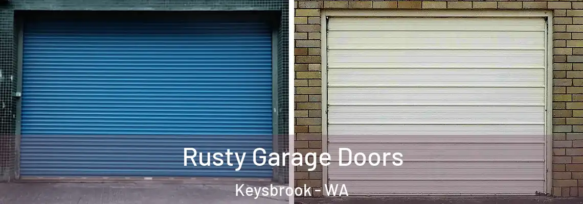  Rusty Garage Doors Keysbrook - WA