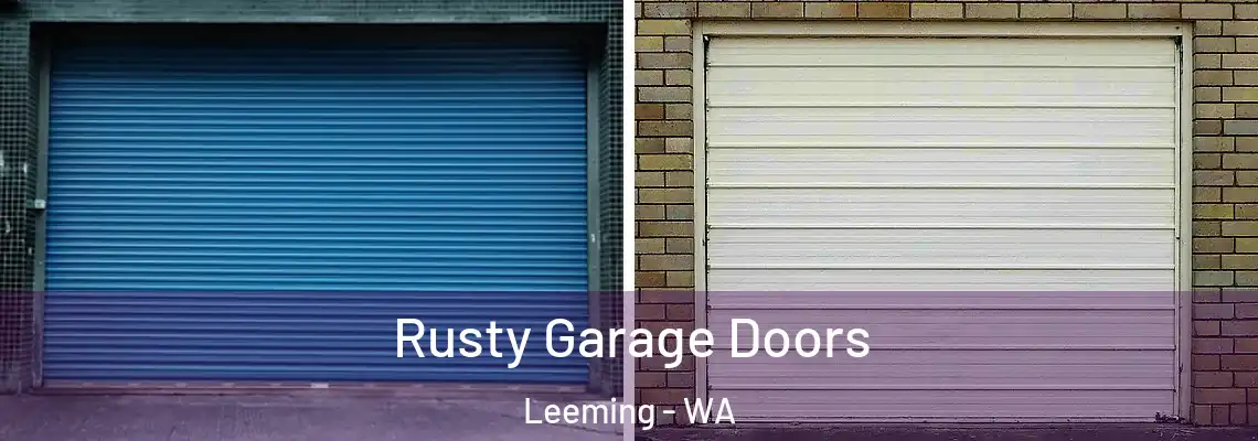  Rusty Garage Doors Leeming - WA
