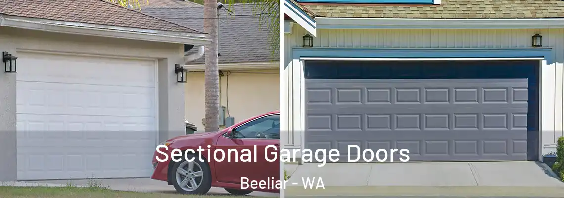  Sectional Garage Doors Beeliar - WA