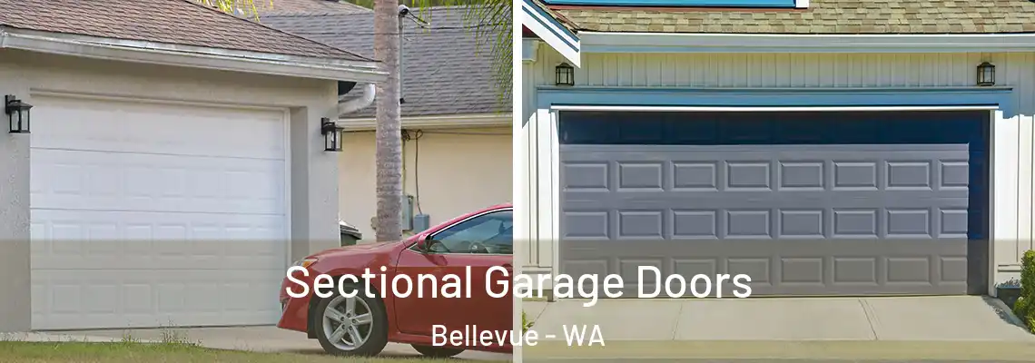  Sectional Garage Doors Bellevue - WA