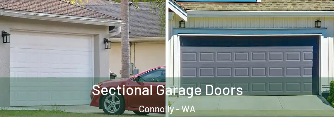  Sectional Garage Doors Connolly - WA