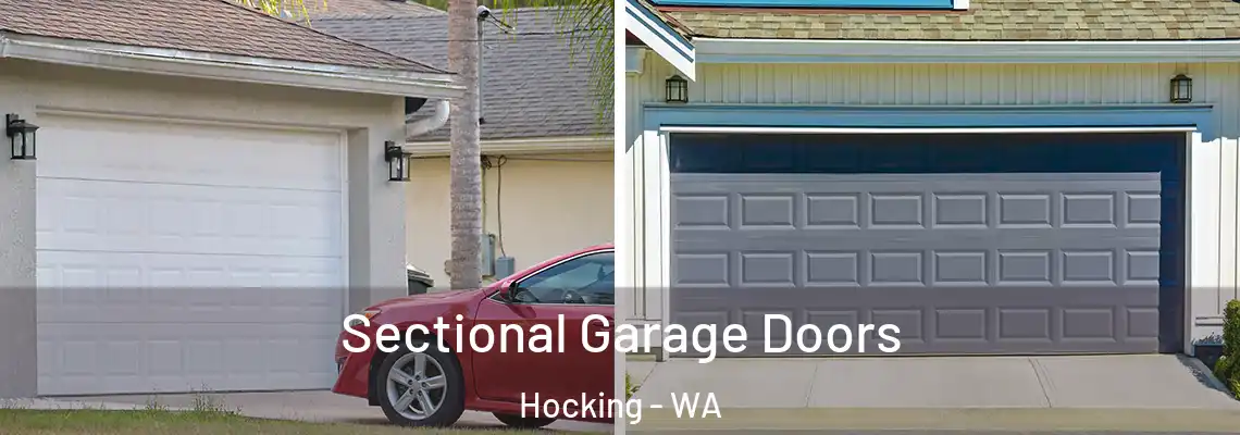  Sectional Garage Doors Hocking - WA
