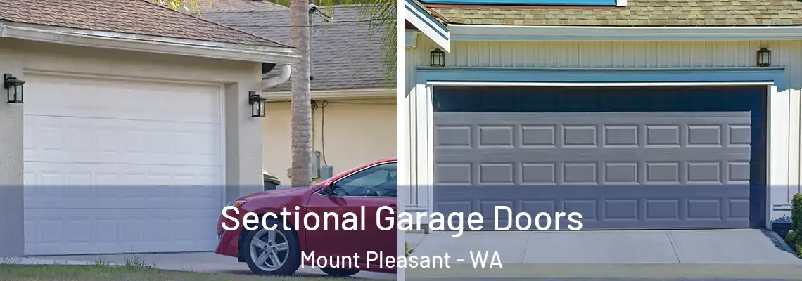 Sectional Garage Doors Mount Pleasant - WA