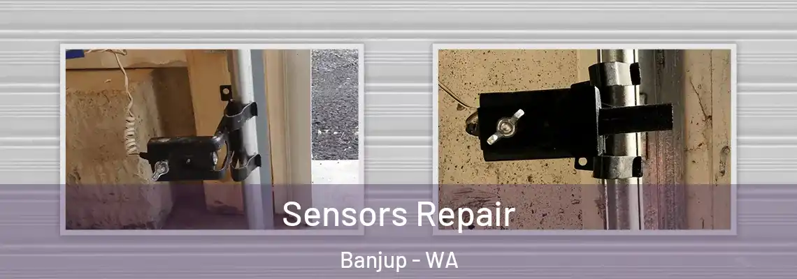  Sensors Repair Banjup - WA