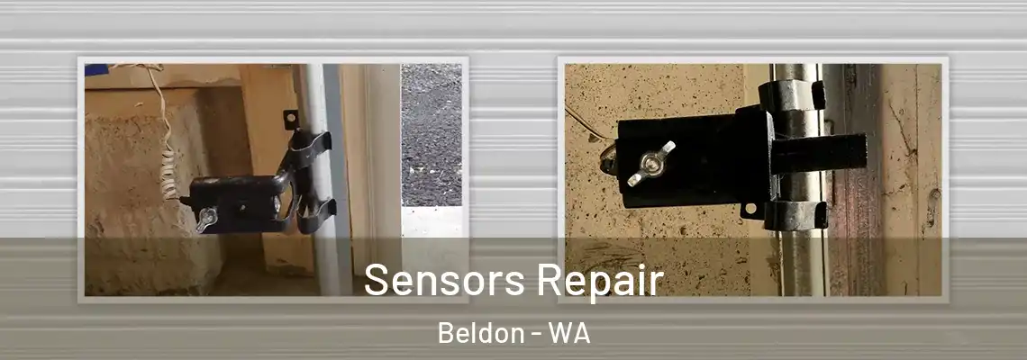  Sensors Repair Beldon - WA