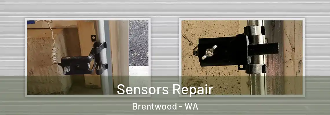  Sensors Repair Brentwood - WA