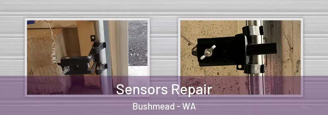 Sensors Repair Bushmead - WA
