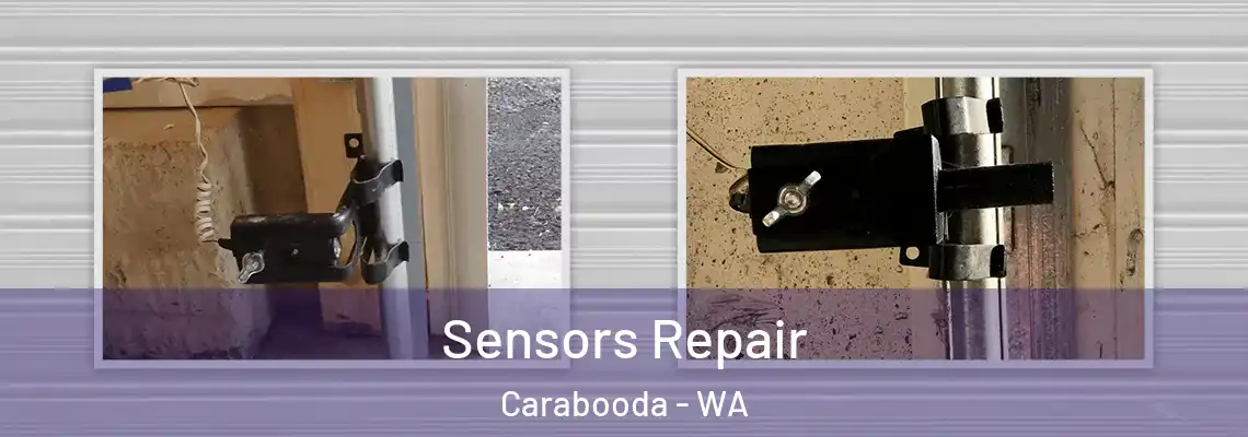  Sensors Repair Carabooda - WA
