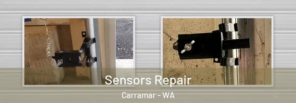  Sensors Repair Carramar - WA