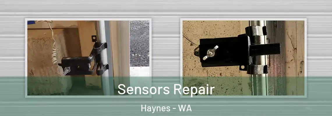  Sensors Repair Haynes - WA