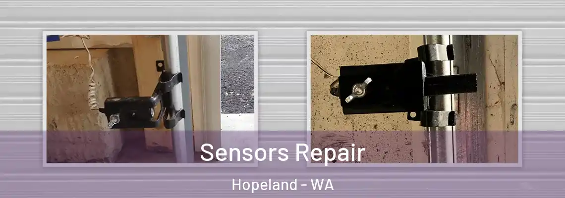  Sensors Repair Hopeland - WA