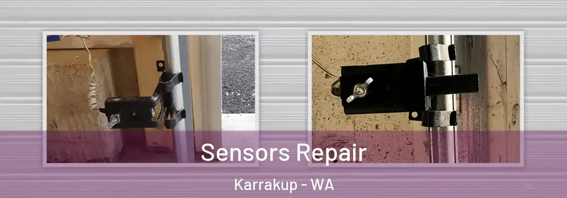  Sensors Repair Karrakup - WA