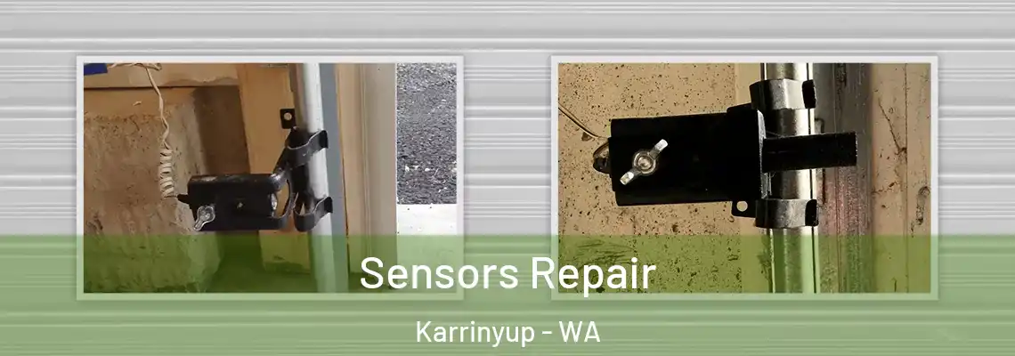  Sensors Repair Karrinyup - WA