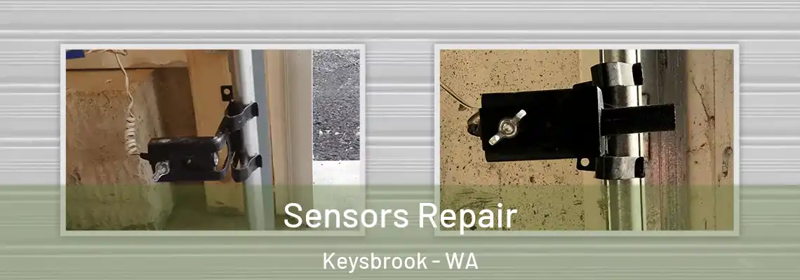  Sensors Repair Keysbrook - WA