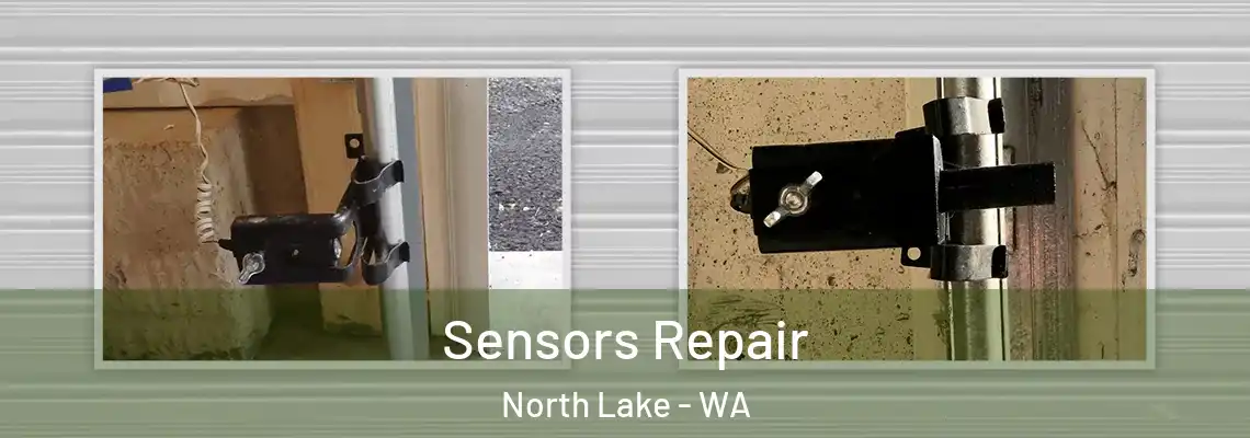  Sensors Repair North Lake - WA