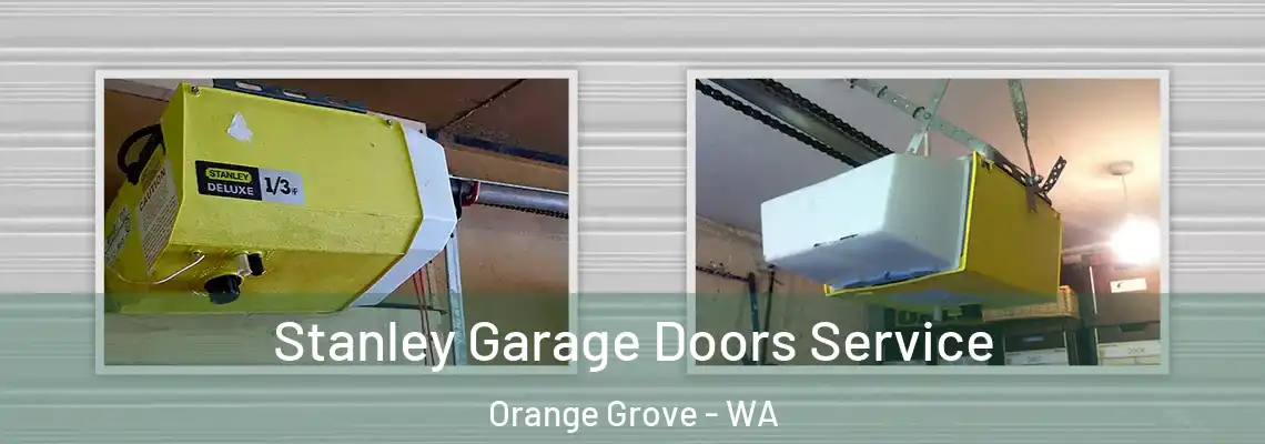  Stanley Garage Doors Service Orange Grove - WA
